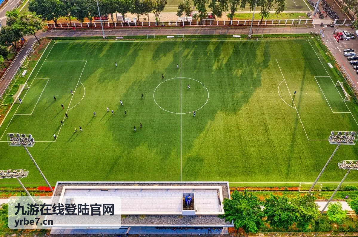 九游在线登陆官网换设备换网络后重新验证的说明图