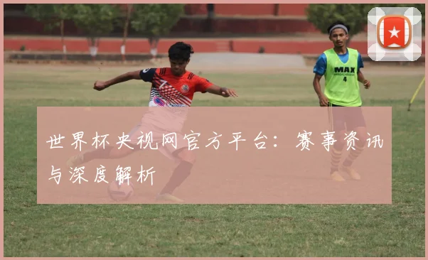 世界杯央视网官方平台：赛事资讯与深度解析