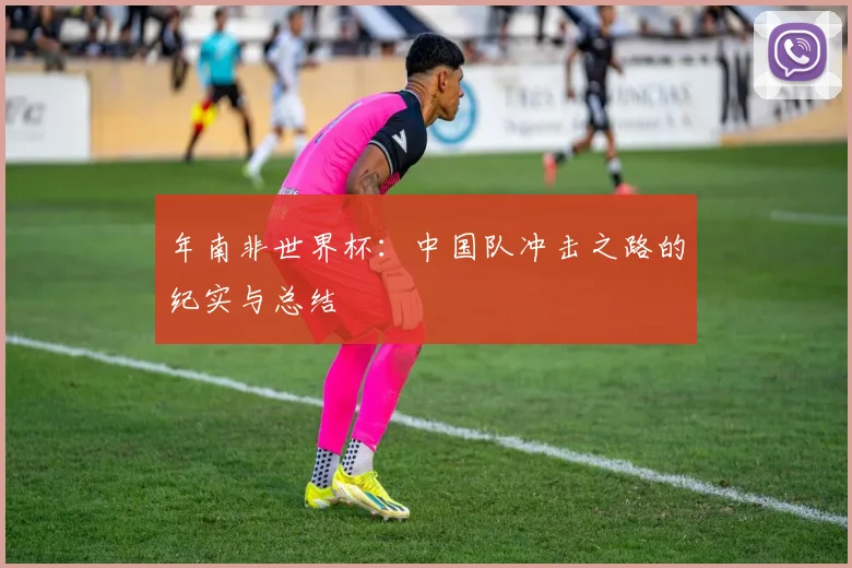 年南非世界杯：中国队冲击之路的纪实与总结