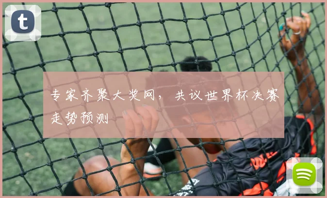 专家齐聚大奖网，共议世界杯决赛走势预测