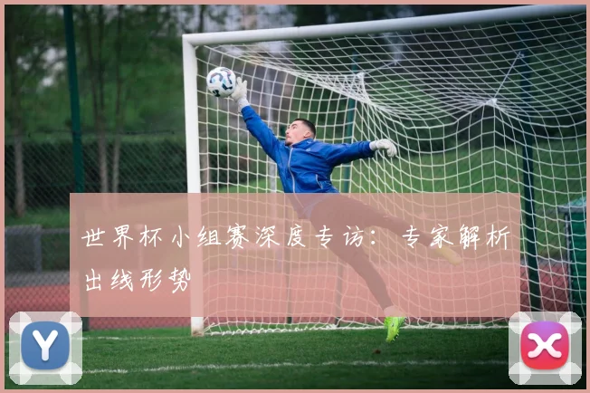 世界杯小组赛深度专访：专家解析出线形势