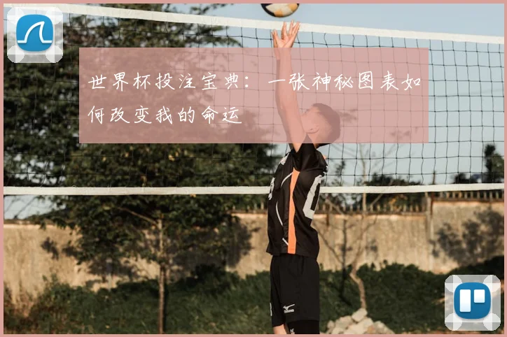 世界杯投注宝典：一张神秘图表如何改变我的命运