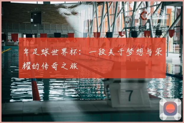 年足球世界杯:一段关于梦想与荣耀的传奇之旅