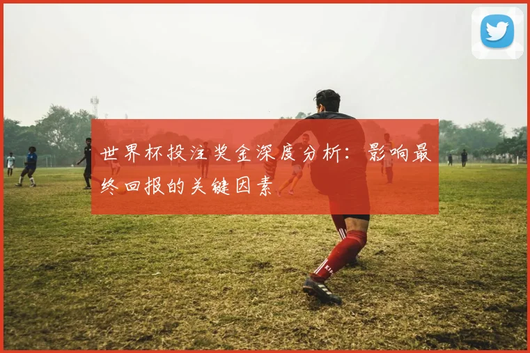 世界杯投注奖金深度分析：影响最终回报的关键因素