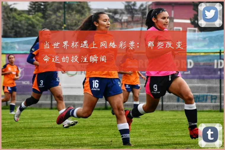 当世界杯遇上网络彩票：那些改变命运的投注瞬间