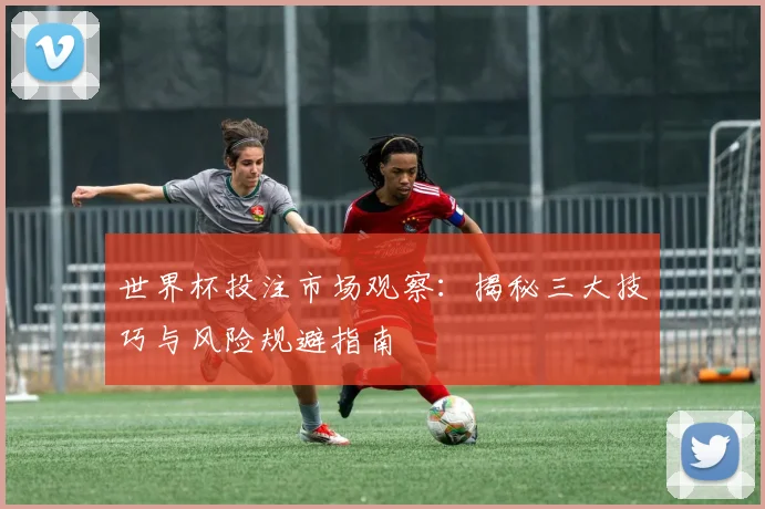世界杯投注市场观察：揭秘三大技巧与风险规避指南