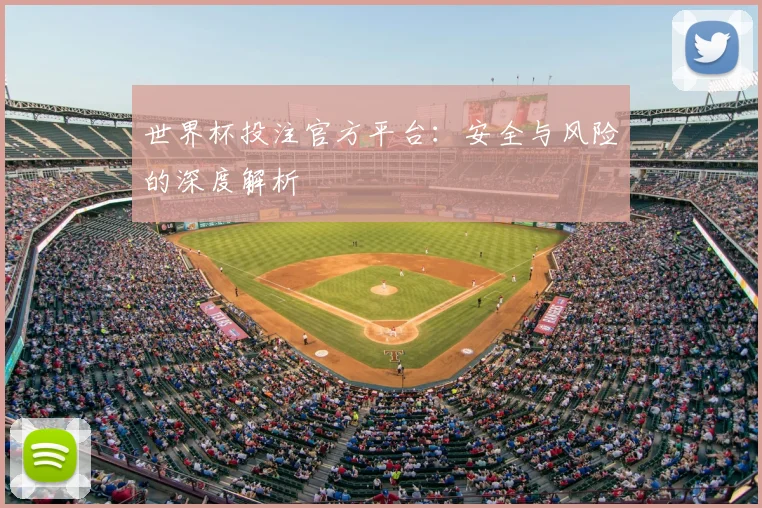 世界杯投注官方平台：安全与风险的深度解析