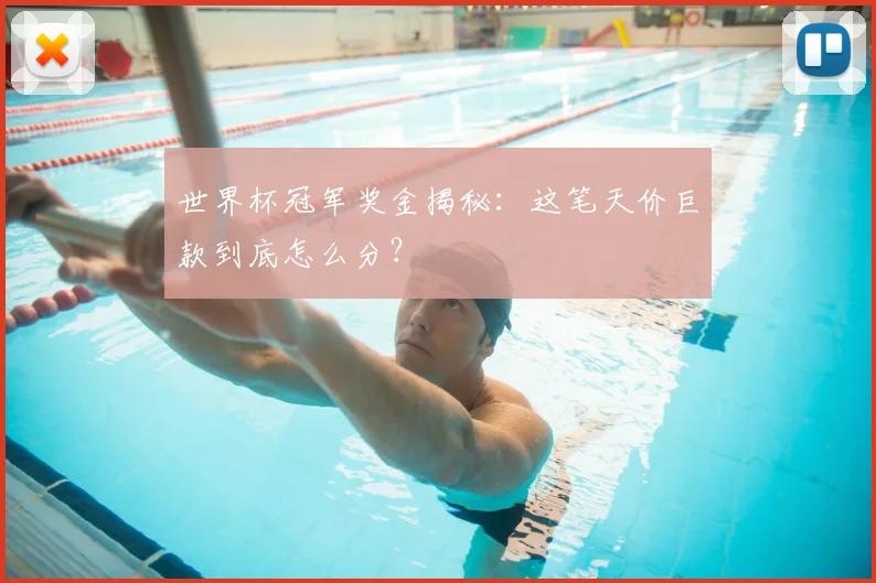 世界杯冠军奖金揭秘：这笔天价巨款到底怎么分？