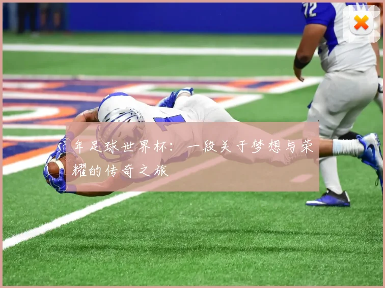 年足球世界杯:一段关于梦想与荣耀的传奇之旅