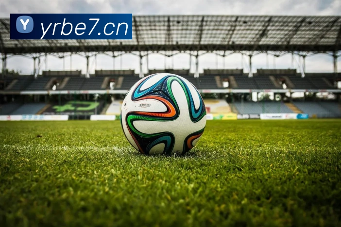 leyu乐鱼登录地址APP 封面图